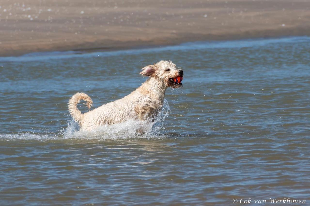 Hébergement de vacances Aan Zee *